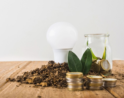 Carbon Credits