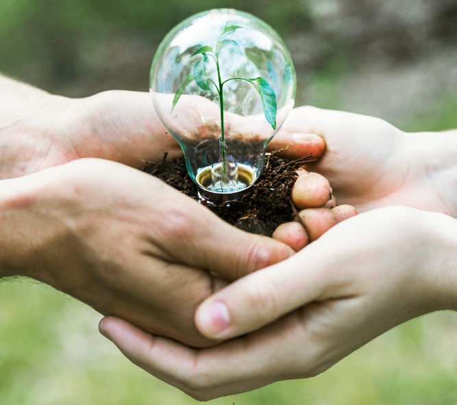 Carbon Credits